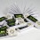 10 filter packs cartons JASS