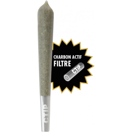 Cône Pré-roll Zion Amnesia + Filtre Charbon