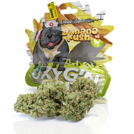 Sachet 5g Banana Kush by Oxyg'n
